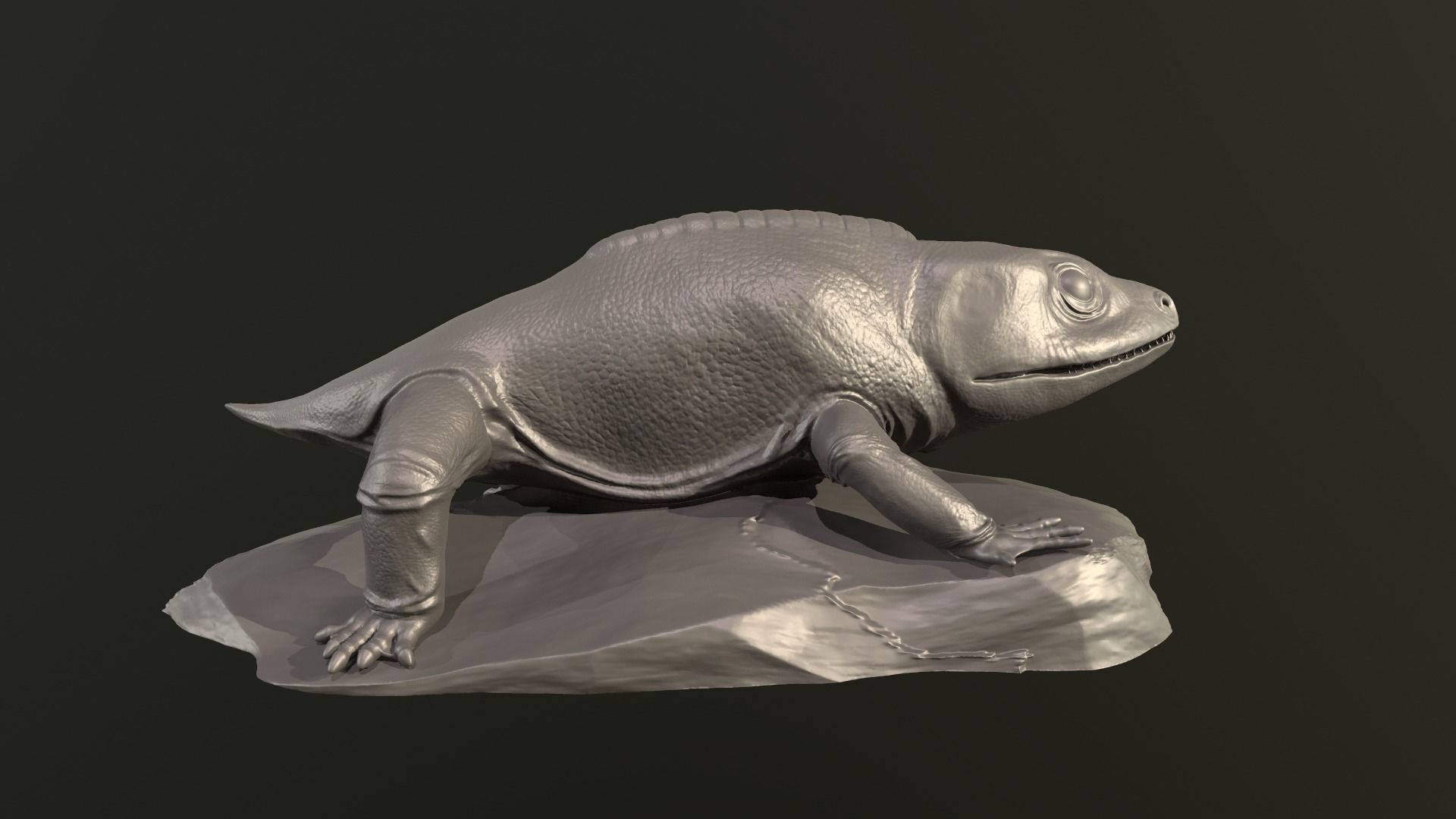 Cacops aspidephorus 3D print model_5