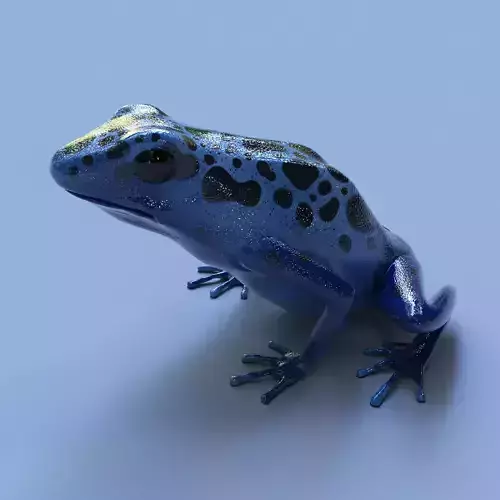 Blue poison dart frog  arrow frog Dendrobates tinctorius azureus 3D model