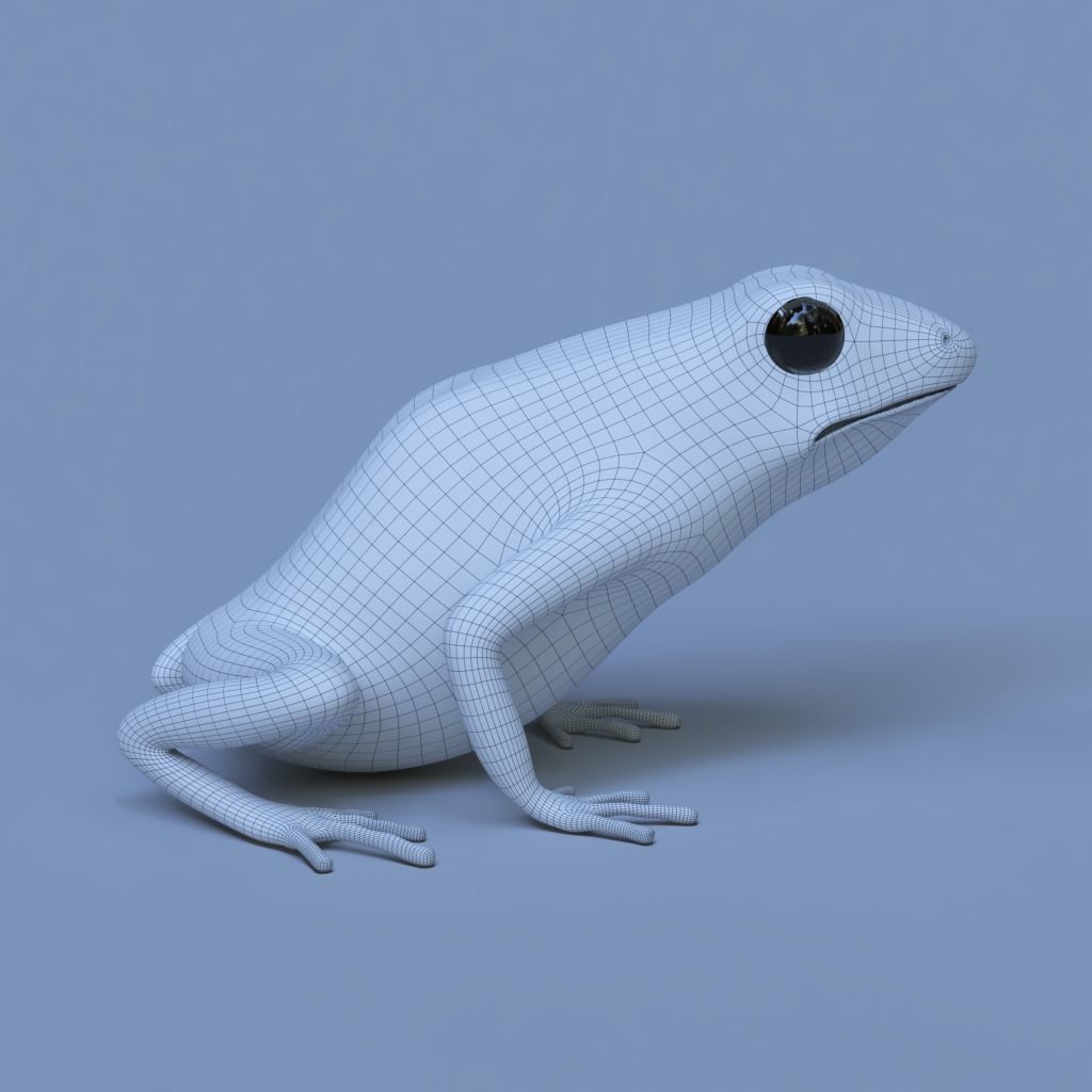 Blue poison dart frog  arrow frog Dendrobates tinctorius azureus 3D model_12
