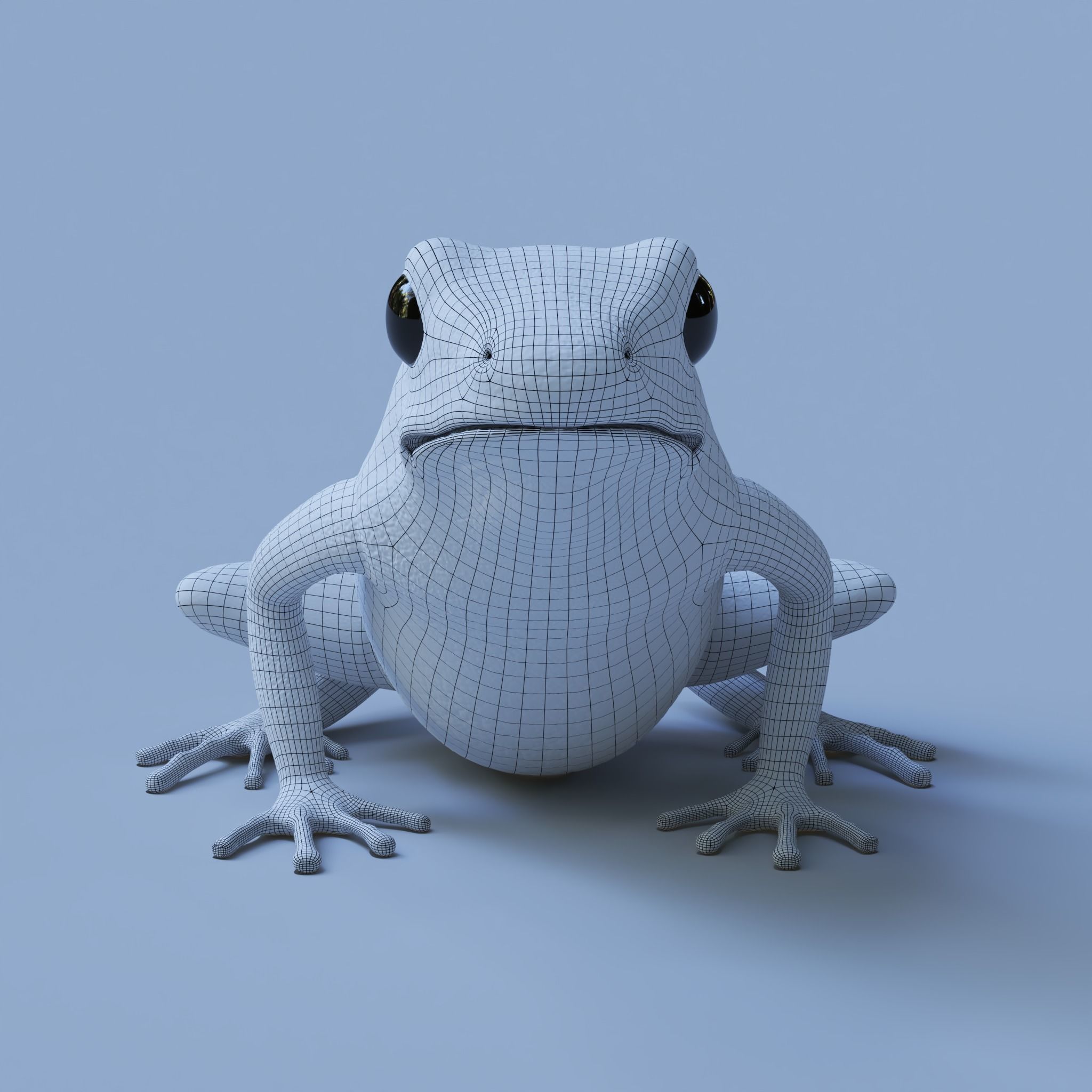 Blue poison dart frog  arrow frog Dendrobates tinctorius azureus 3D model_6