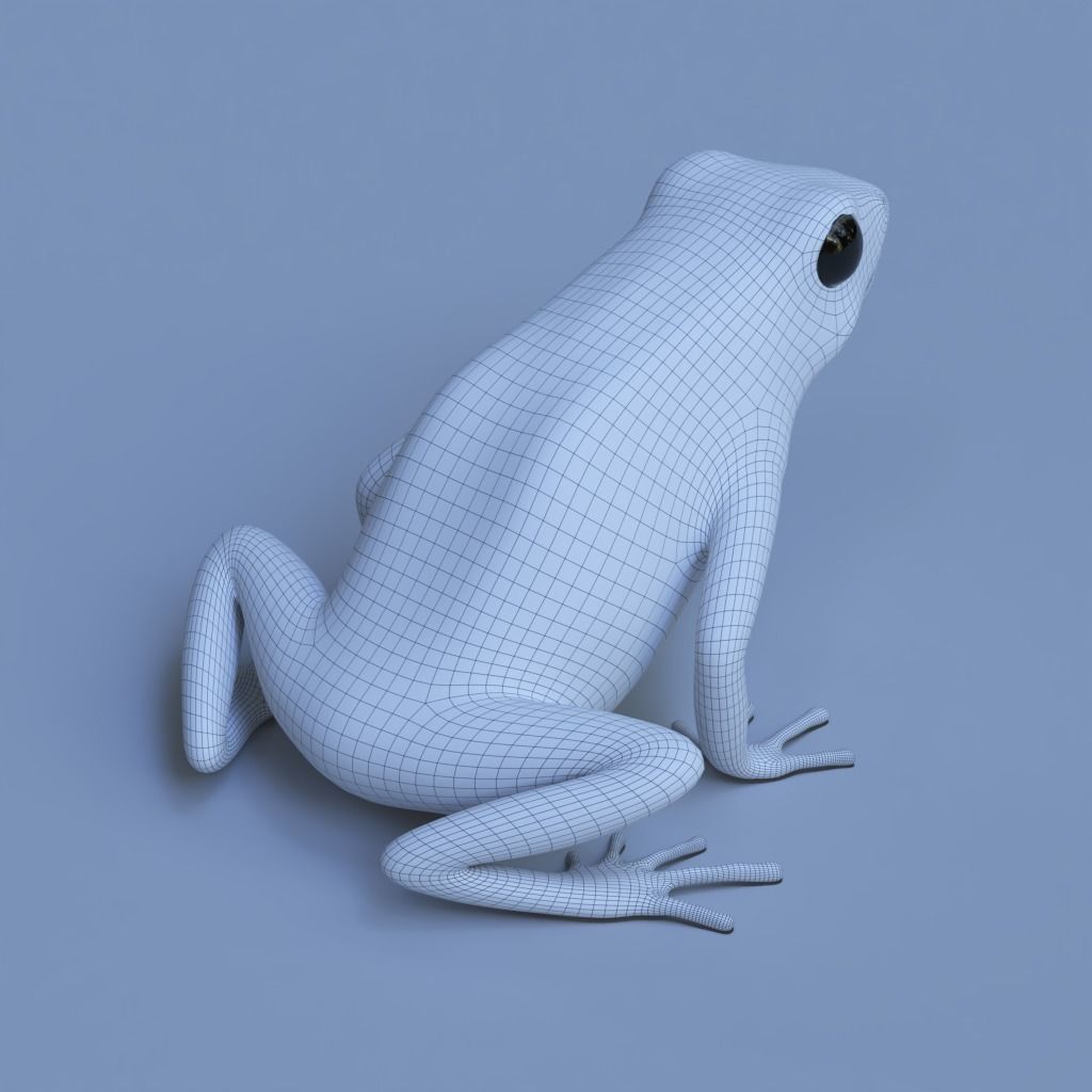 Blue poison dart frog  arrow frog Dendrobates tinctorius azureus 3D model_14