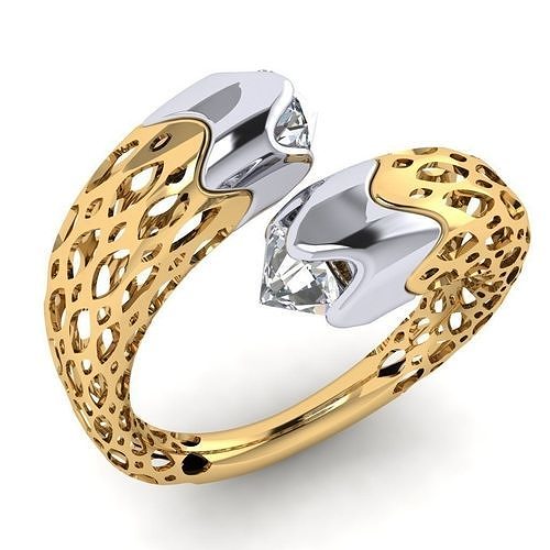 fizyon ring 9 3D print model