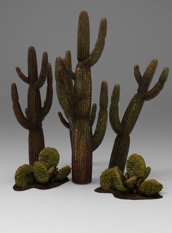 Cactus Low-poly 3D model