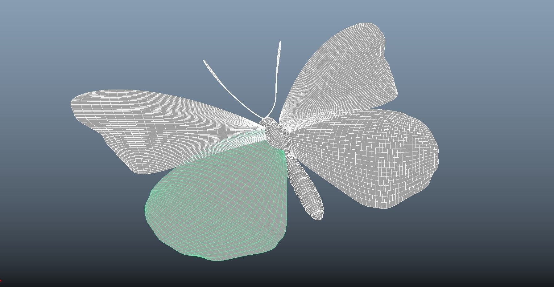 Butterfly with texture 3D model_3