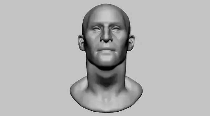 Base Male Head v3 3D model