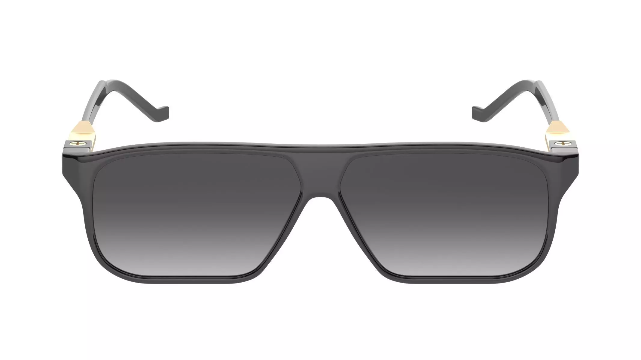 Big Frame Sunglasses 3D model_0