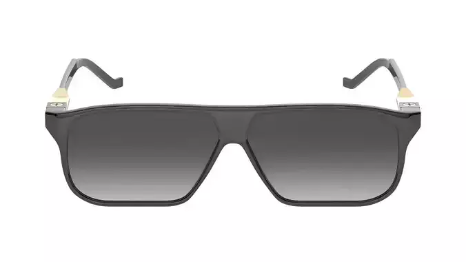 Big Frame Sunglasses 3D model