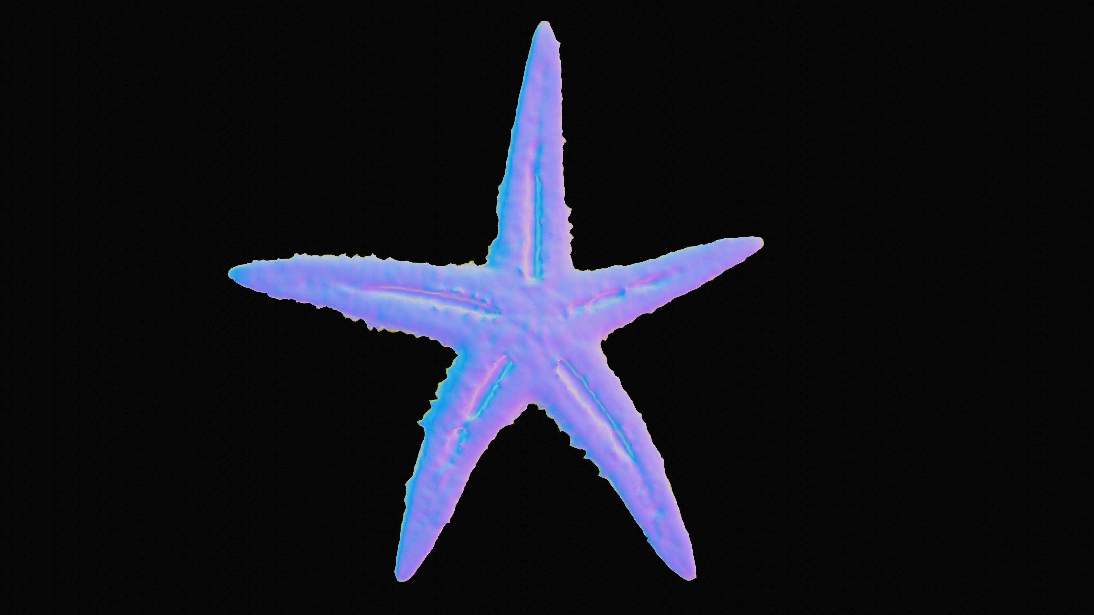 Starfish Low-poly 3D model_11