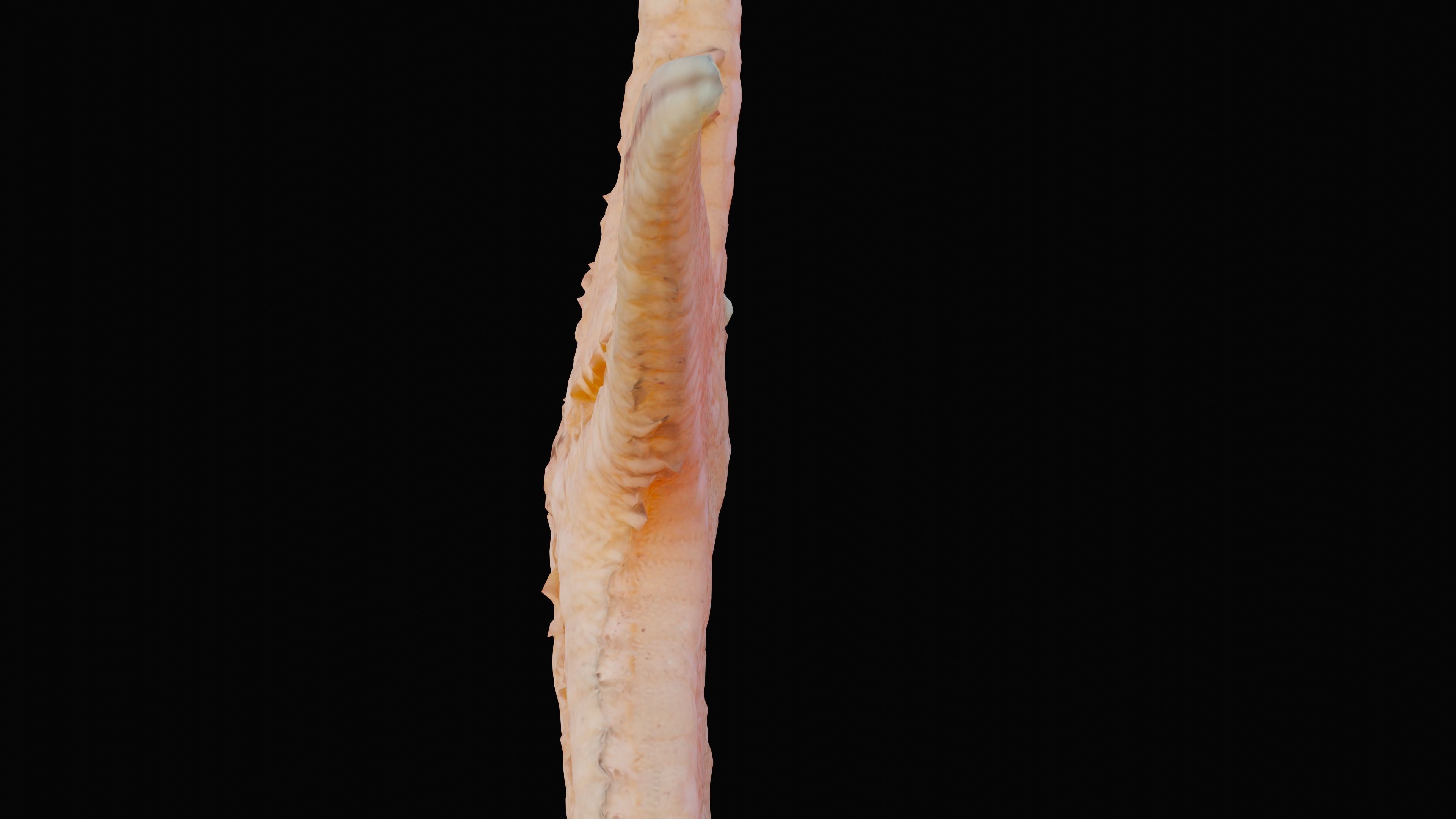 Starfish Low-poly 3D model_10