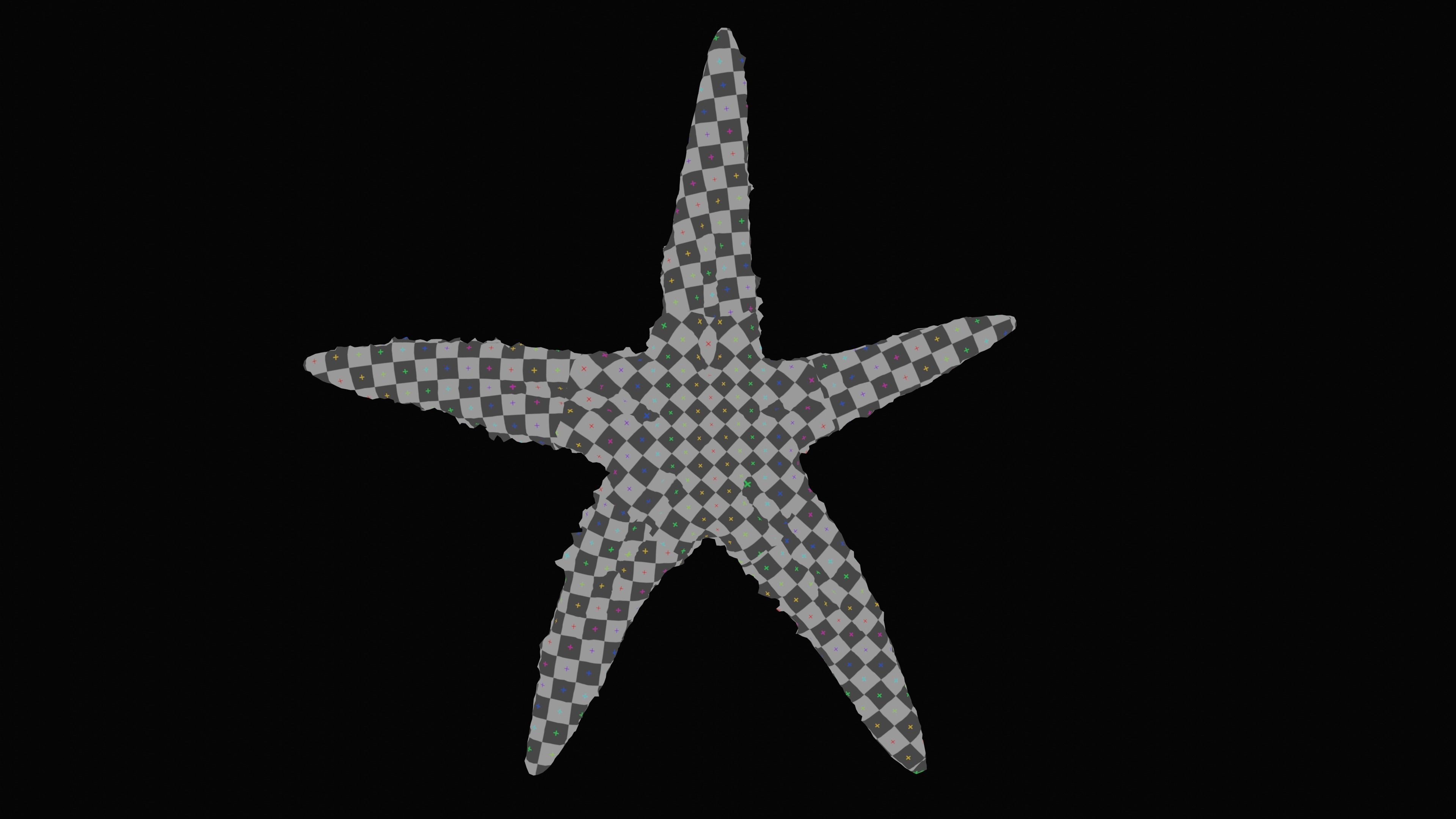 Starfish Low-poly 3D model_20