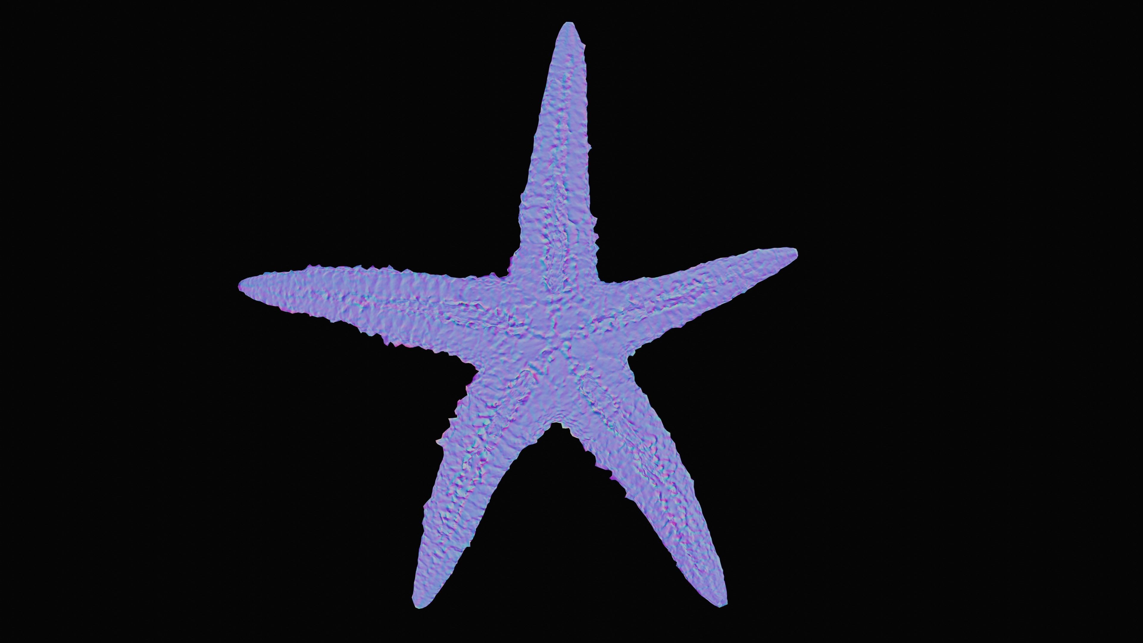 Starfish Low-poly 3D model_15
