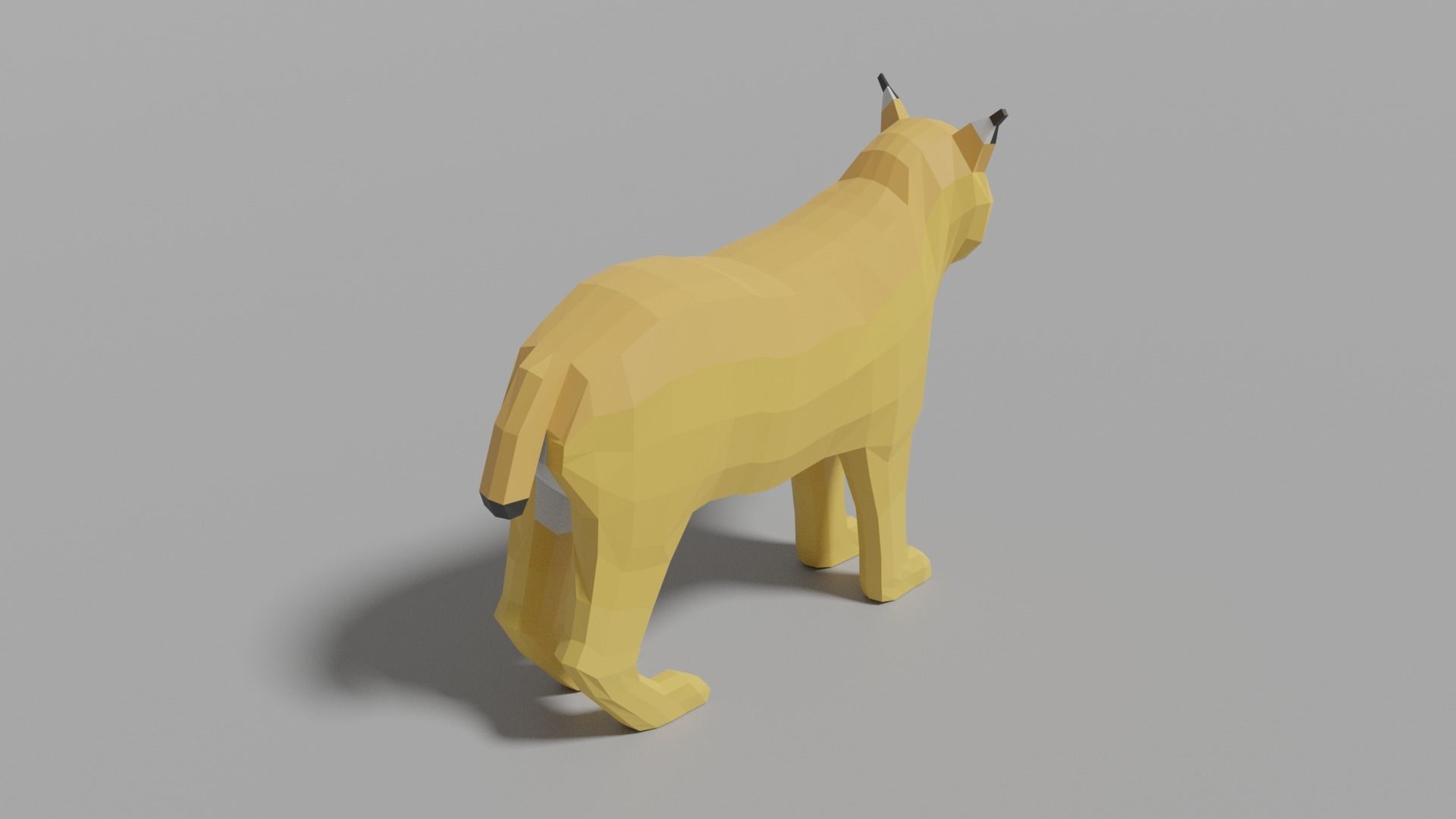 Cartoon Lynx Family Low-poly 3D model_15