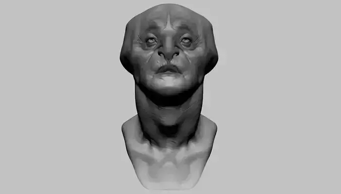 Fantasy Creature Head v7 3D model