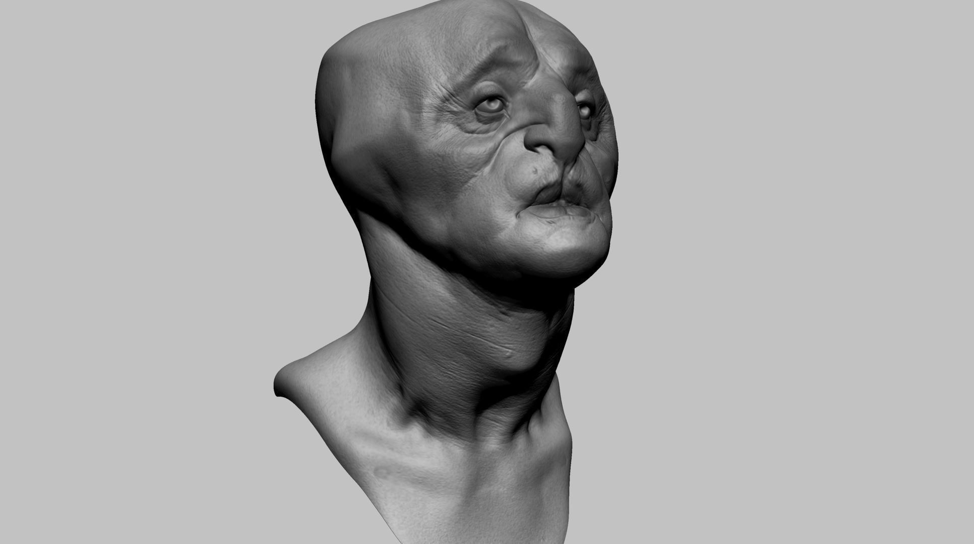 Fantasy Creature Head v7 3D model_1