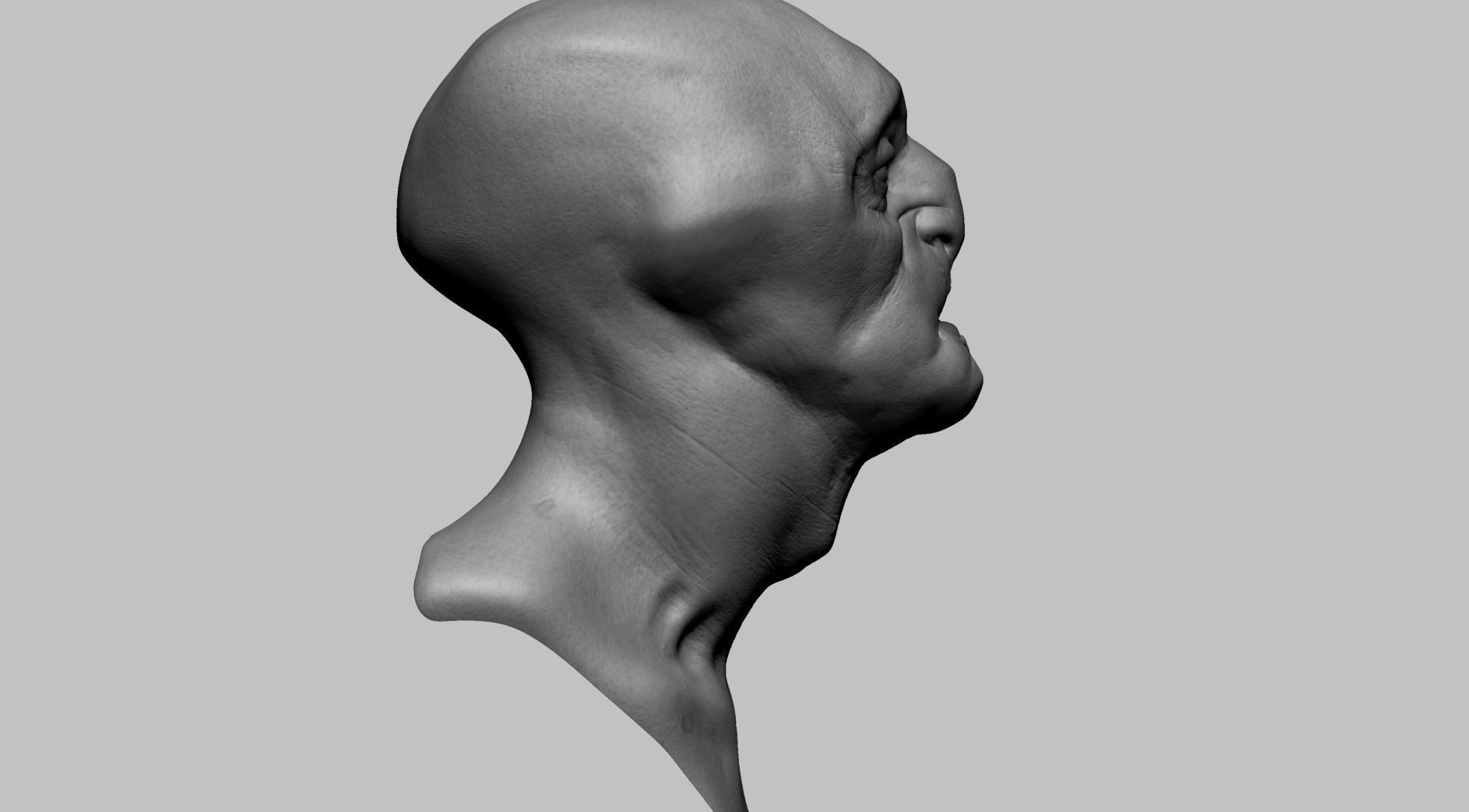 Fantasy Creature Head v7 3D model_2