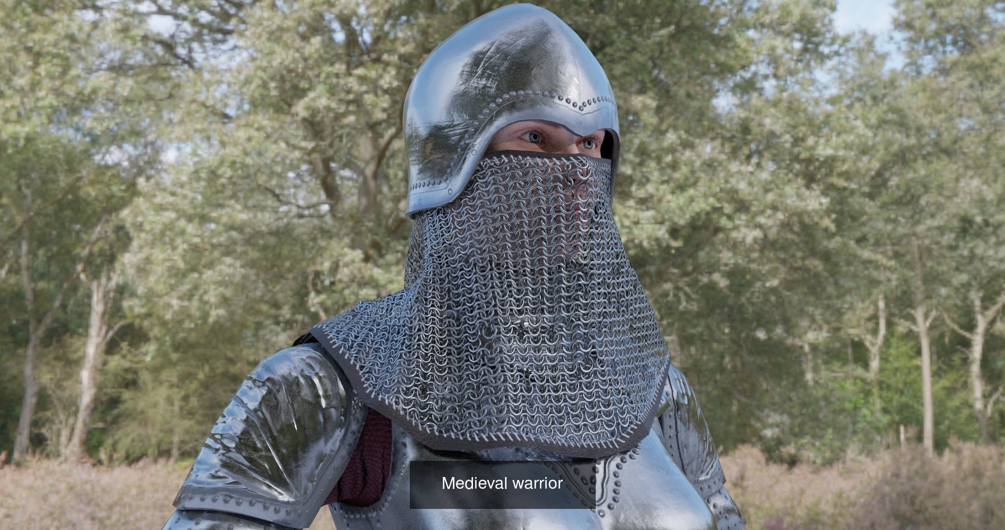 Warriors woman in armor on wall 3D Model Collection_6