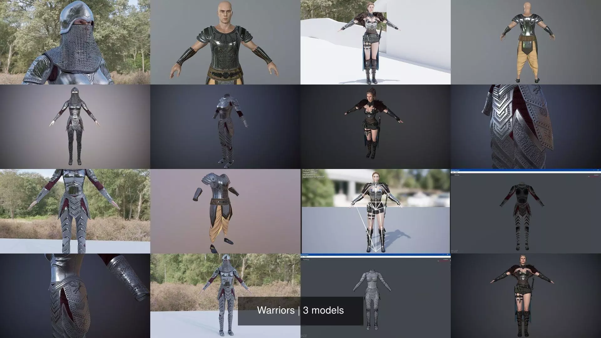 Warriors woman in armor on wall 3D Model Collection_5