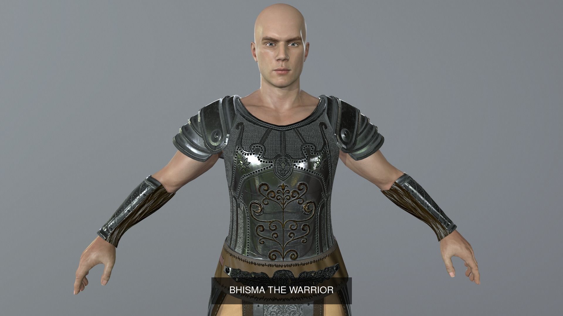 Warriors woman in armor on wall 3D Model Collection_7