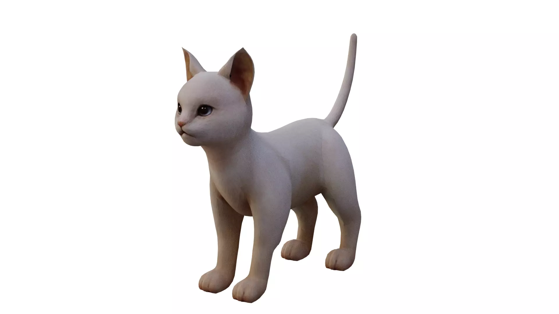 Cat White Low-poly 3D model