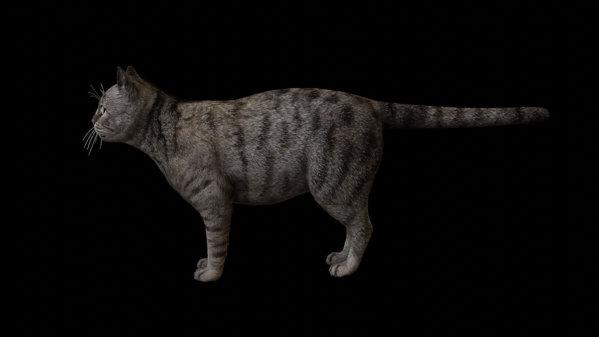 Kitty Cat Low-poly 3D model_1