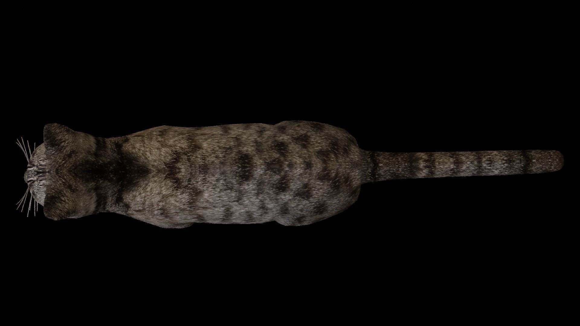 Kitty Cat Low-poly 3D model_3