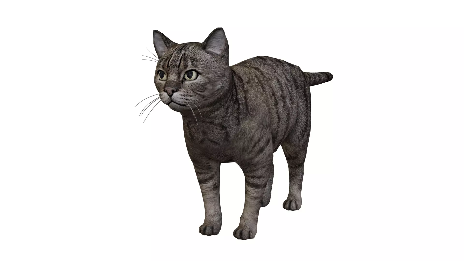 Kitty Cat Low-poly 3D model_0