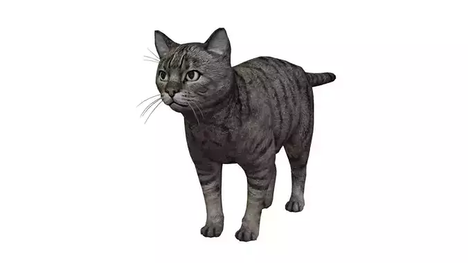 Kitty Cat Low-poly 3D model