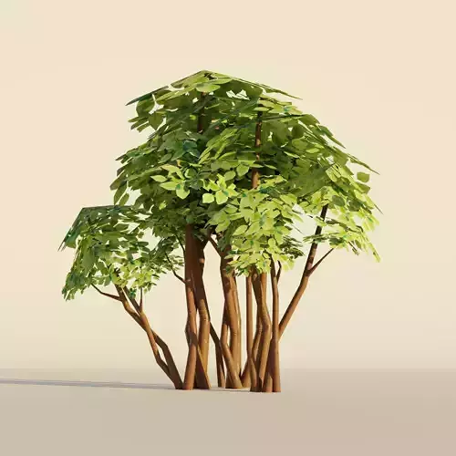 Pisonia tree set Realistic