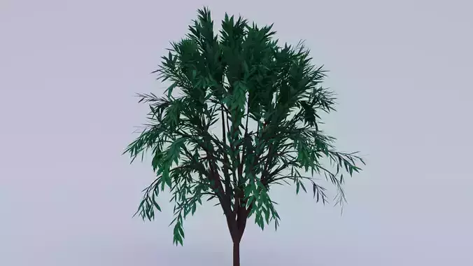 Low Poly Tree bamboo