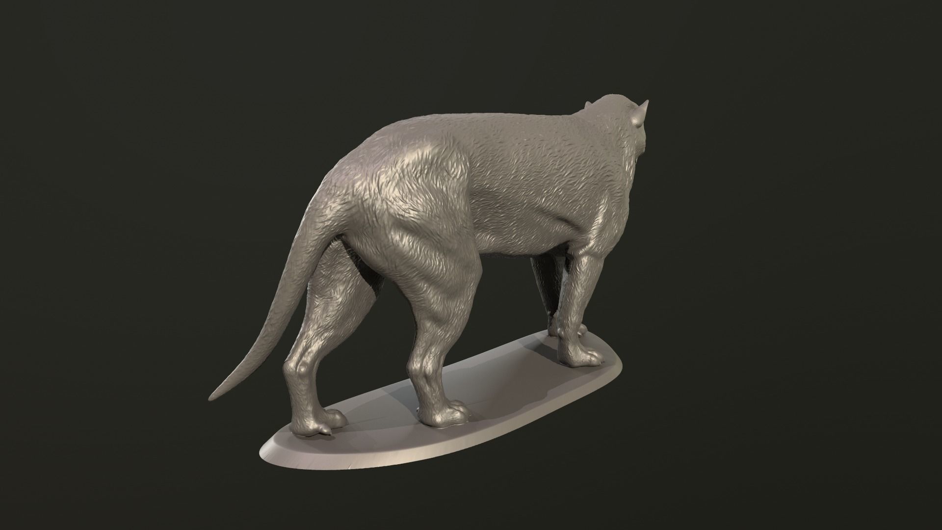Hyaenodon horridus 3D print model_5