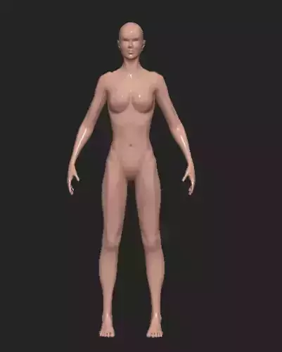 Female body