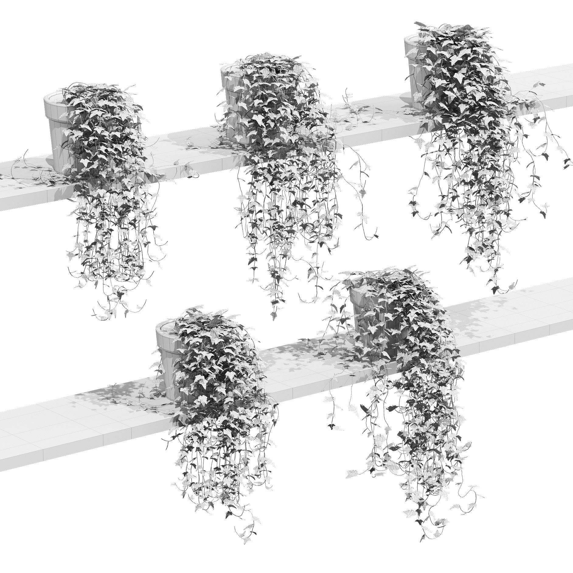 Ivy in pots on the shelves - 5 models 3D model_1