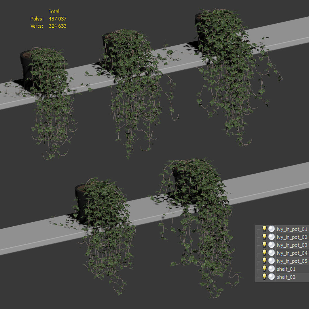Ivy in pots on the shelves - 5 models 3D model_2