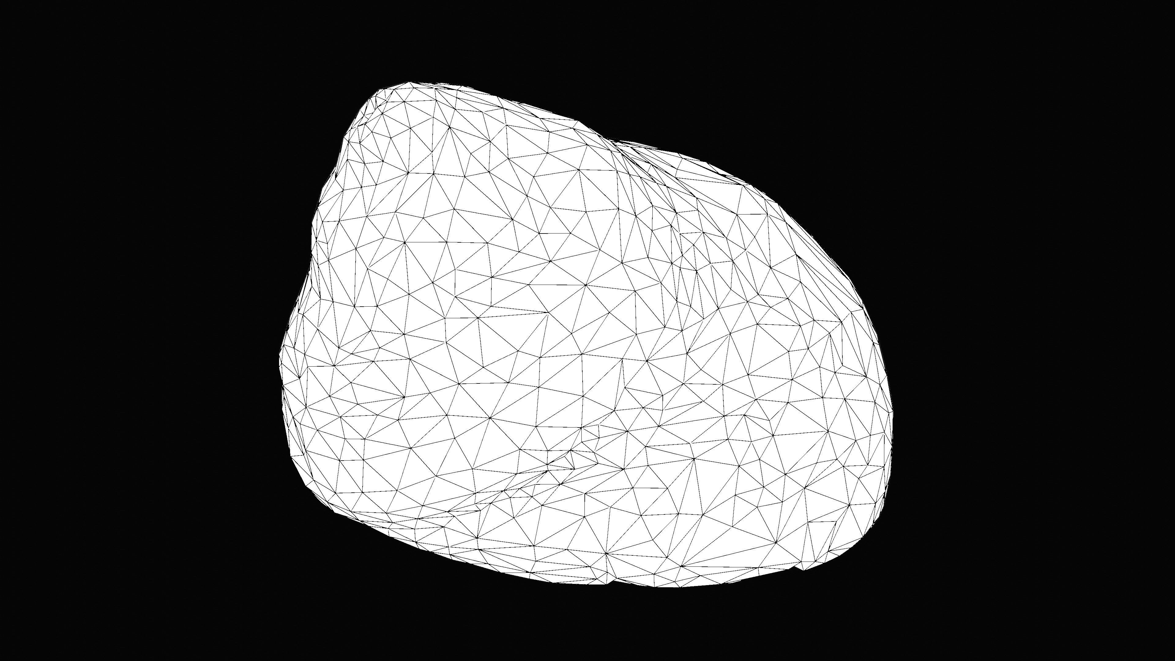 Tessellate Nerita Sea Shell Low-poly 3D model_18