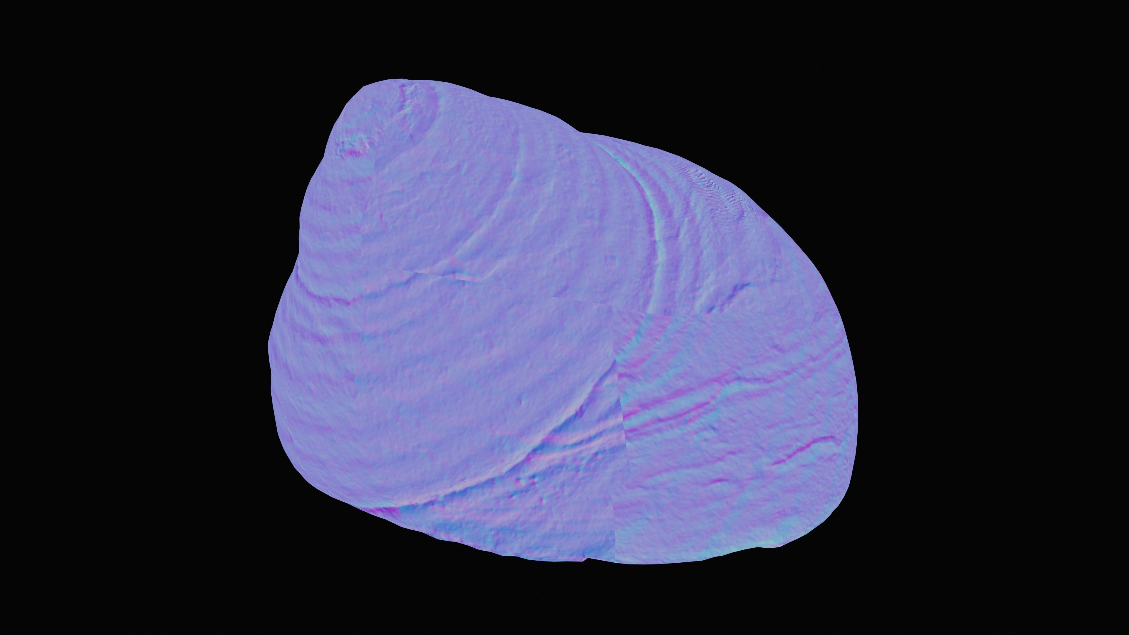 Tessellate Nerita Sea Shell Low-poly 3D model_15