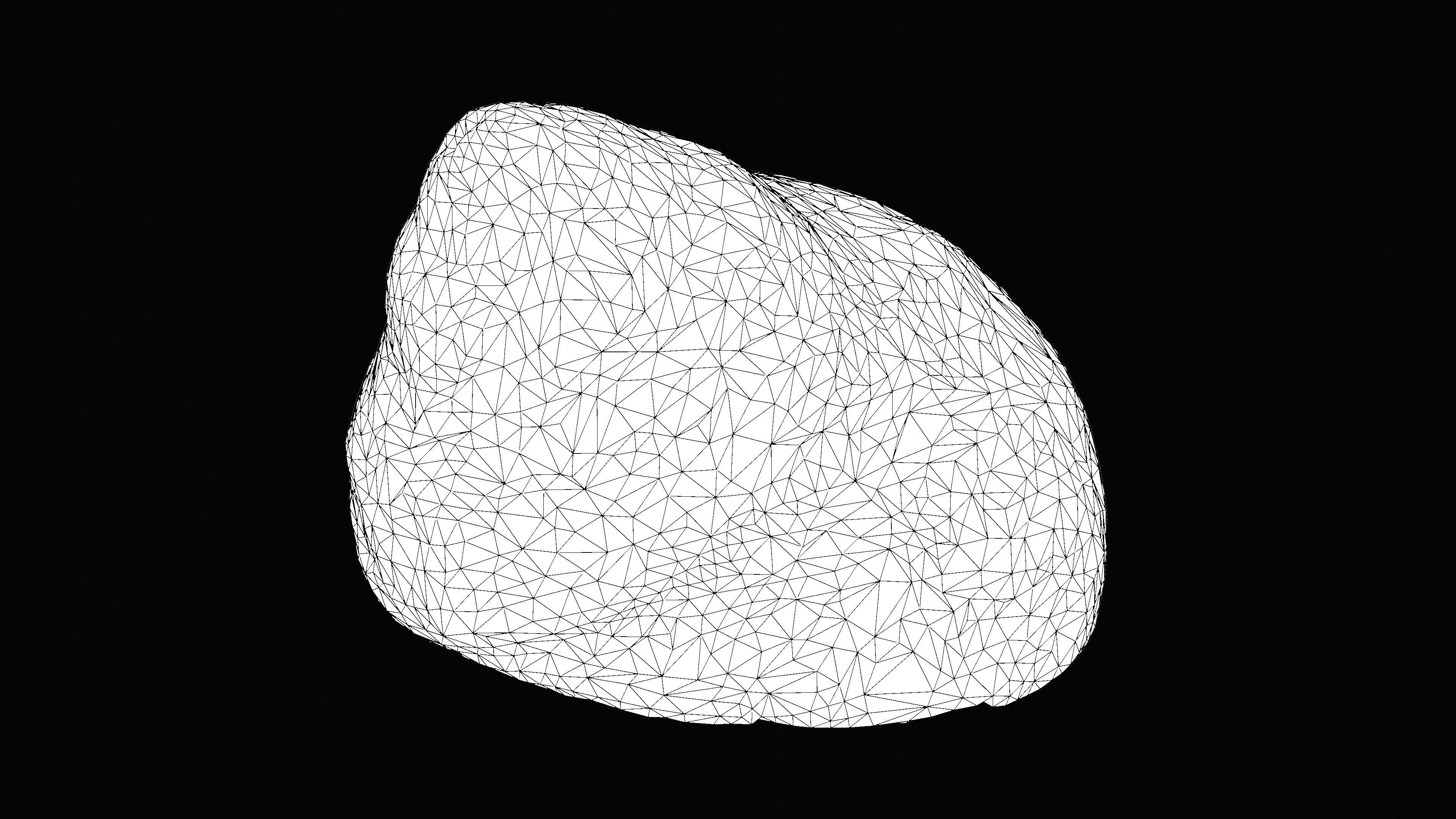 Tessellate Nerita Sea Shell Low-poly 3D model_17