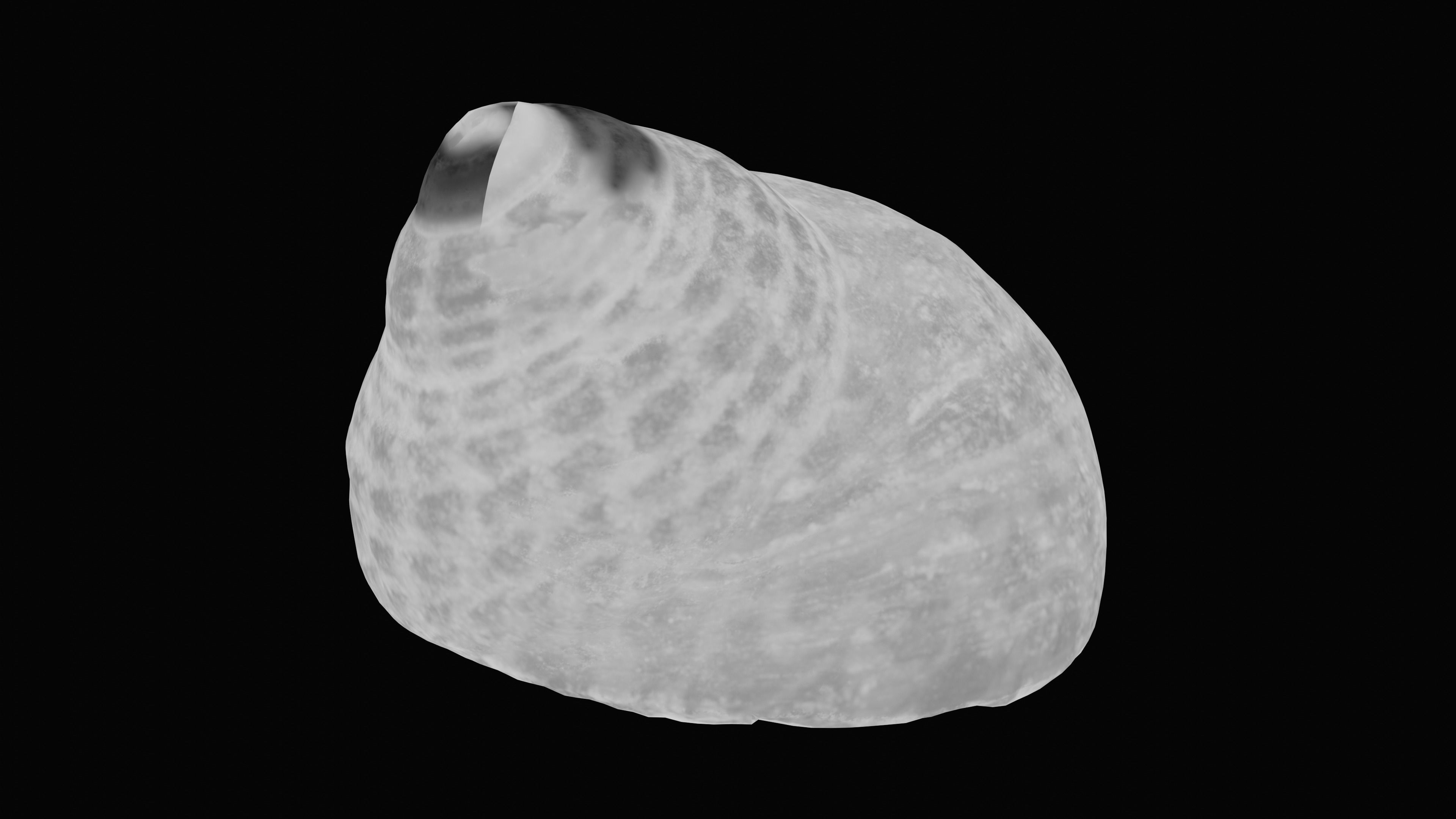 Tessellate Nerita Sea Shell Low-poly 3D model_14