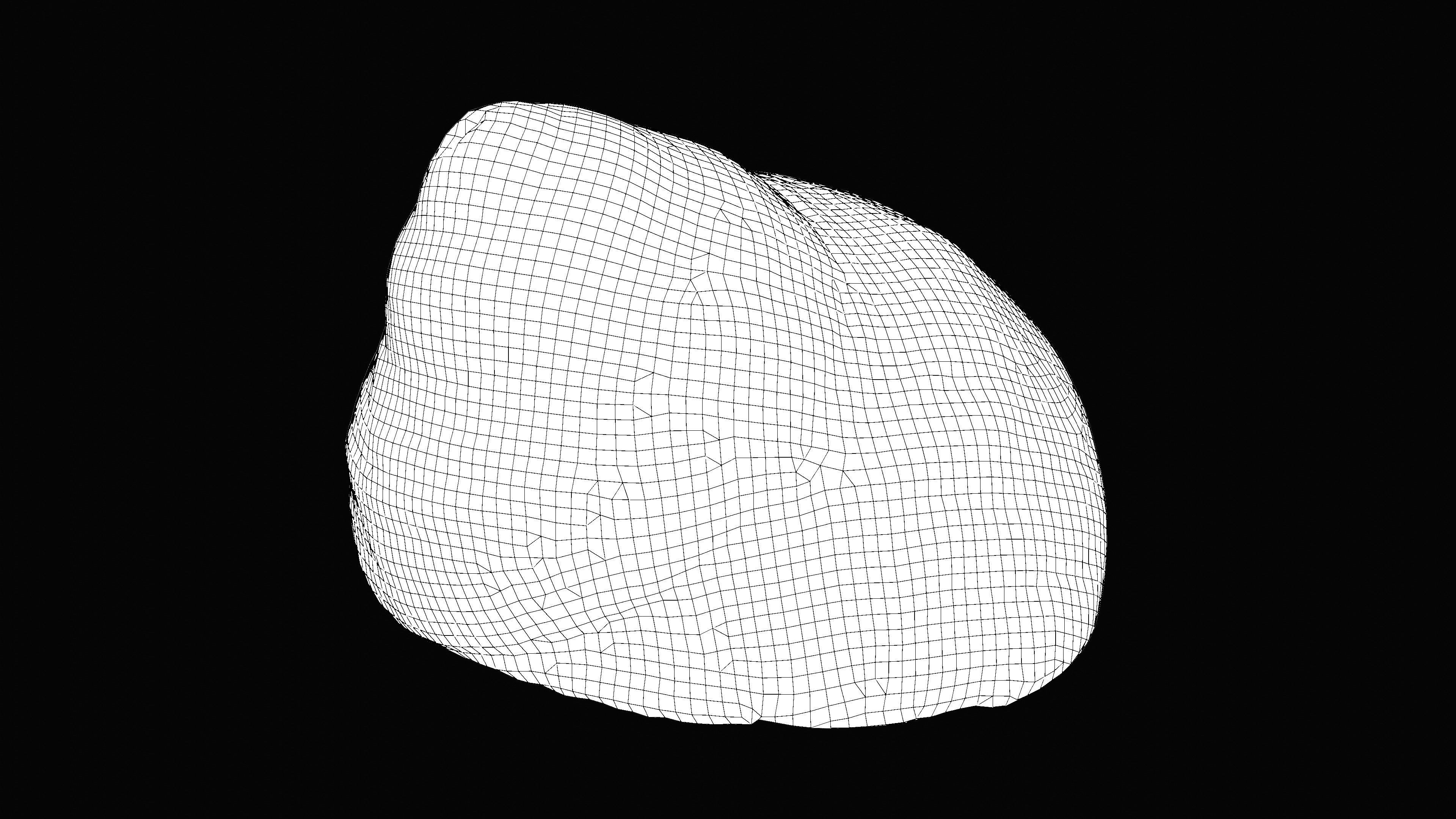 Tessellate Nerita Sea Shell Low-poly 3D model_16