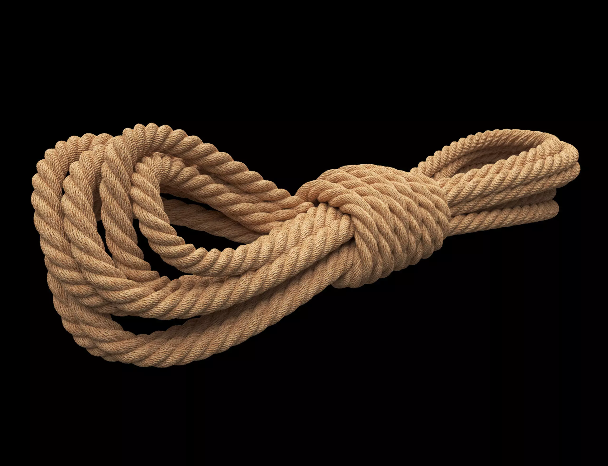 Photorealistic Rope 3D model_0