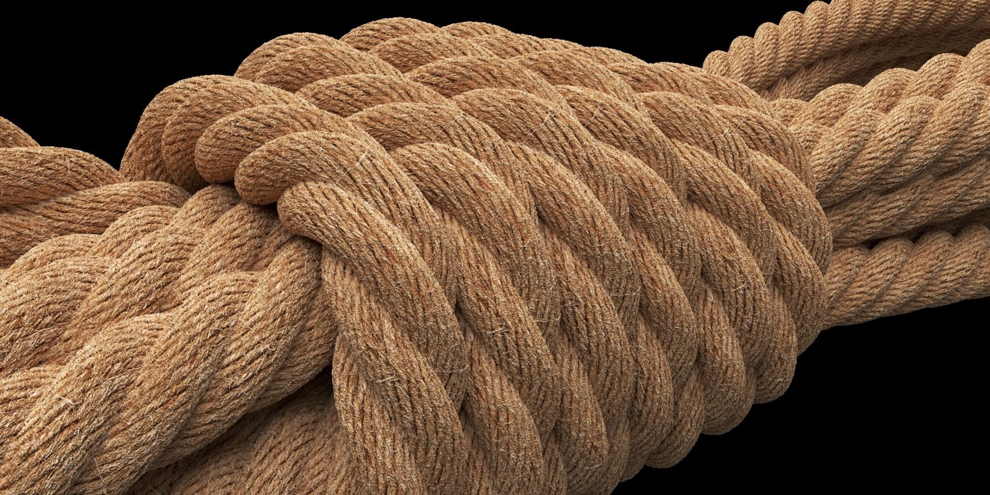 Photorealistic Rope 3D model_1
