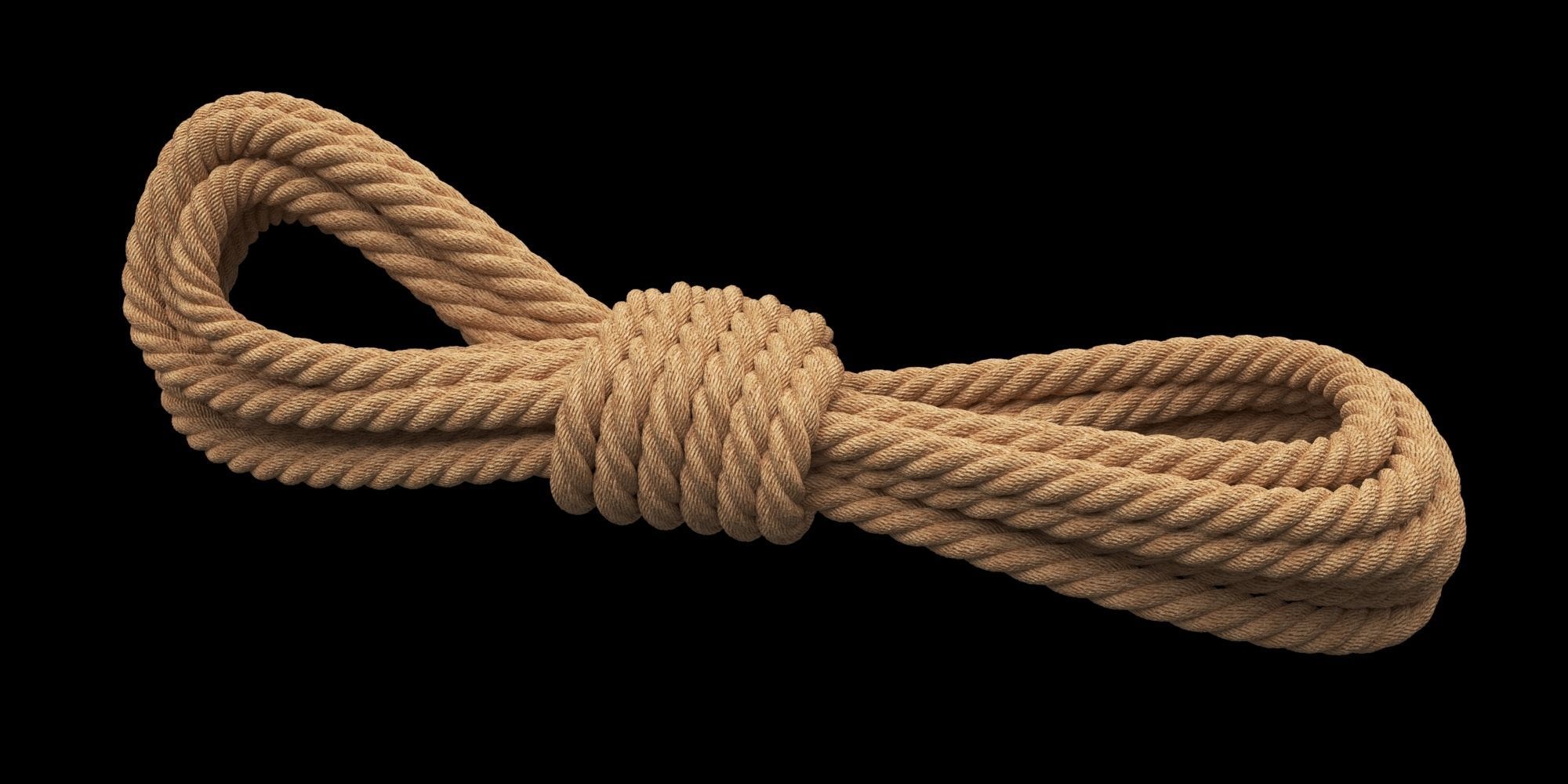 Photorealistic Rope 3D model_8