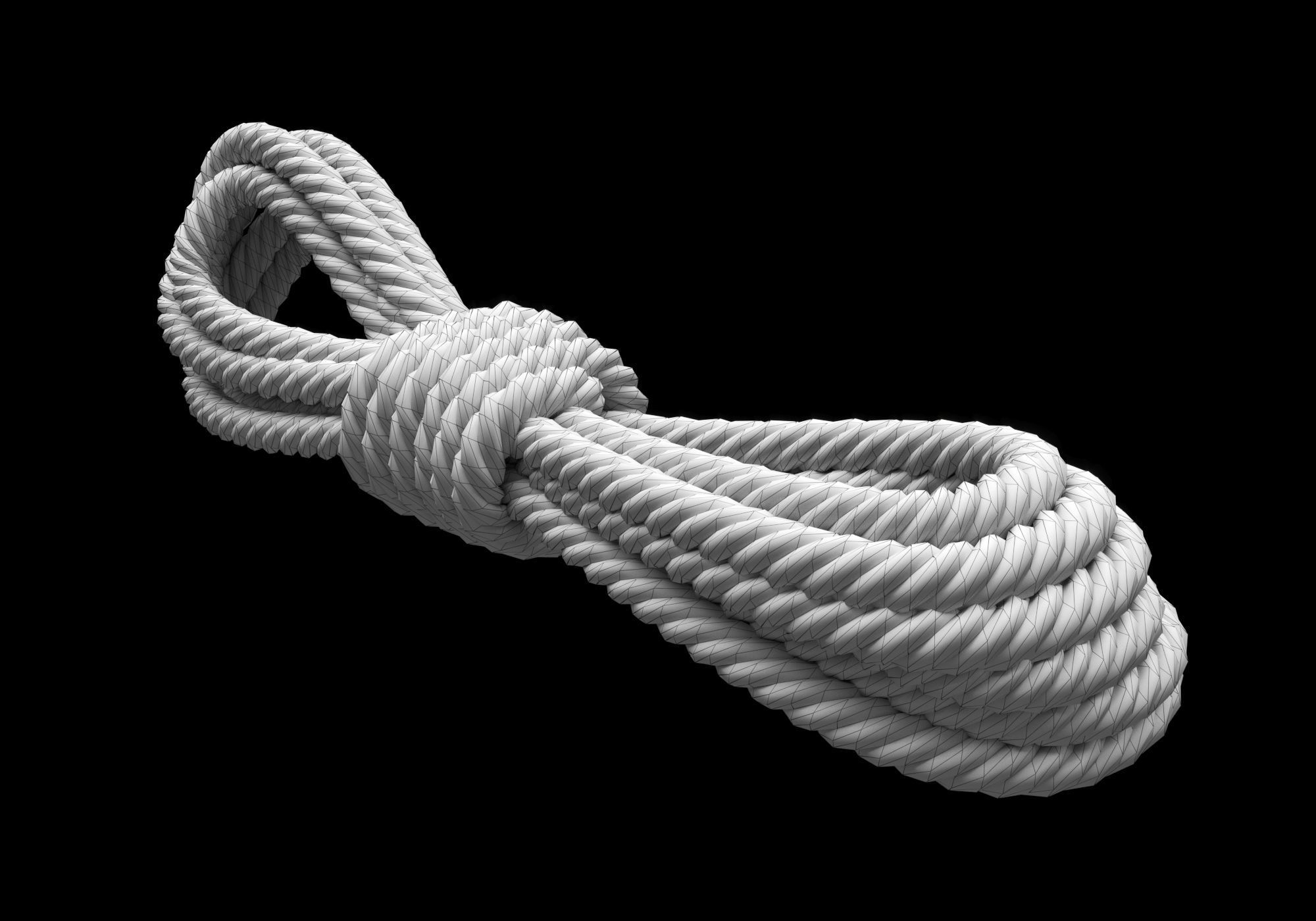Photorealistic Rope 3D model_14
