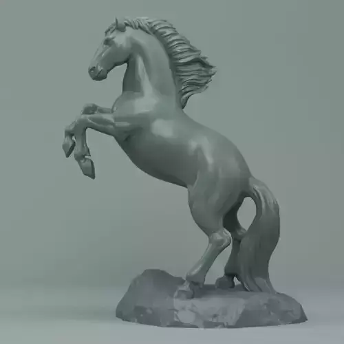 Horse raer