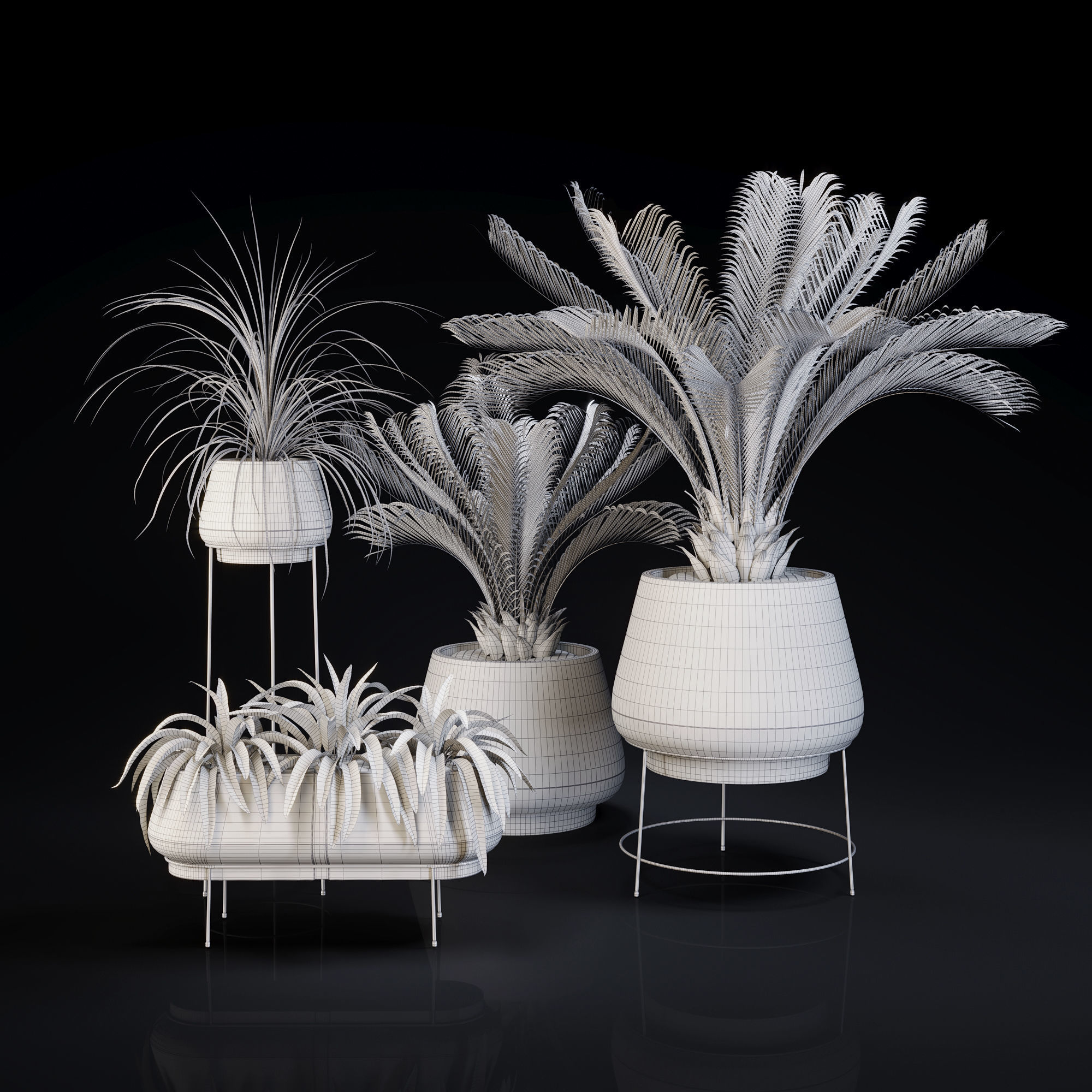 Plants Collection 01 3D model_4