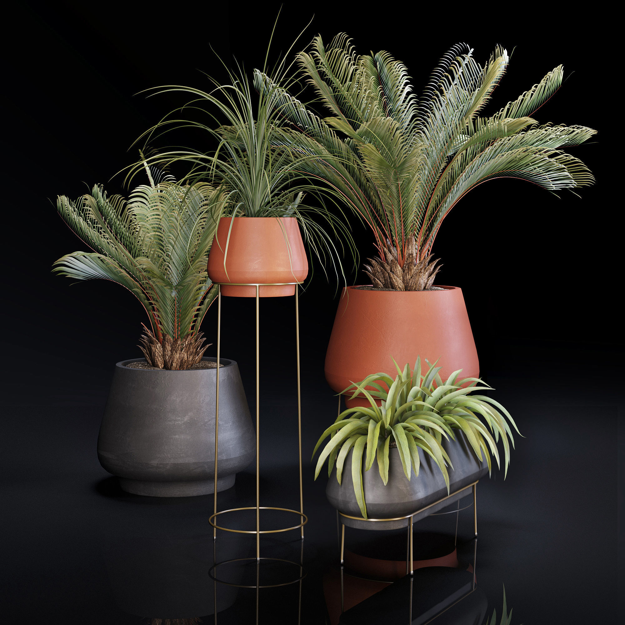 Plants Collection 01 3D model_1
