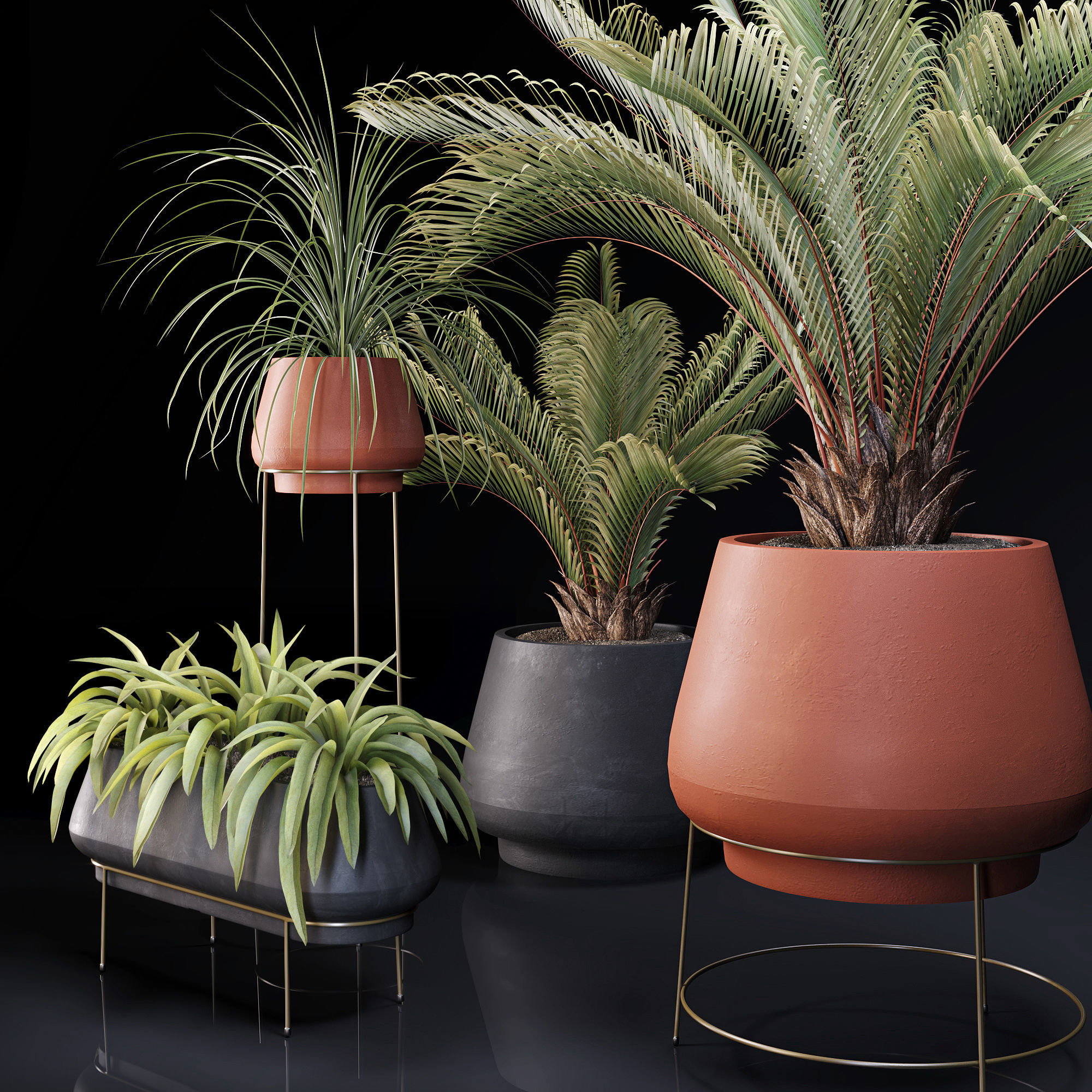 Plants Collection 01 3D model_2