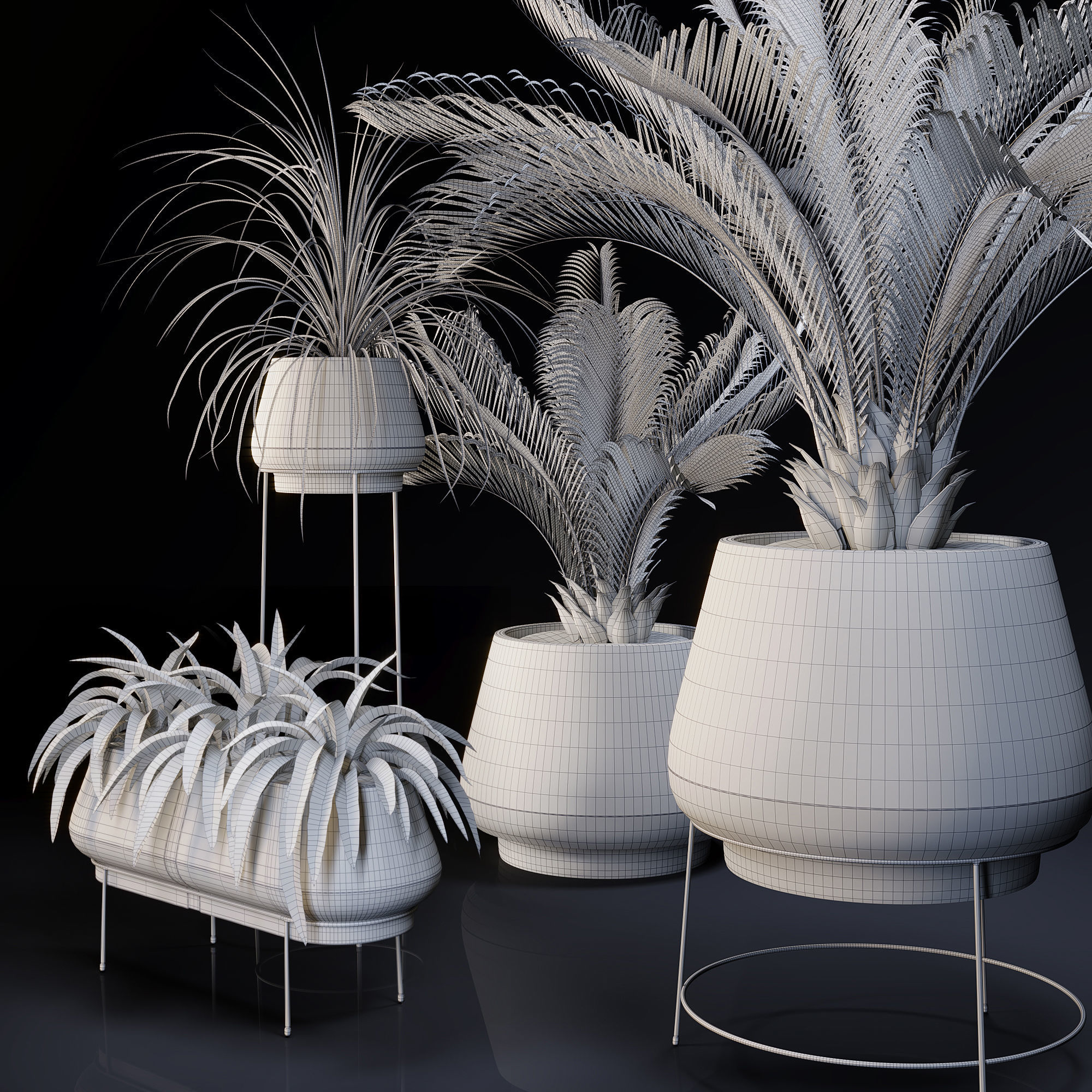 Plants Collection 01 3D model_3