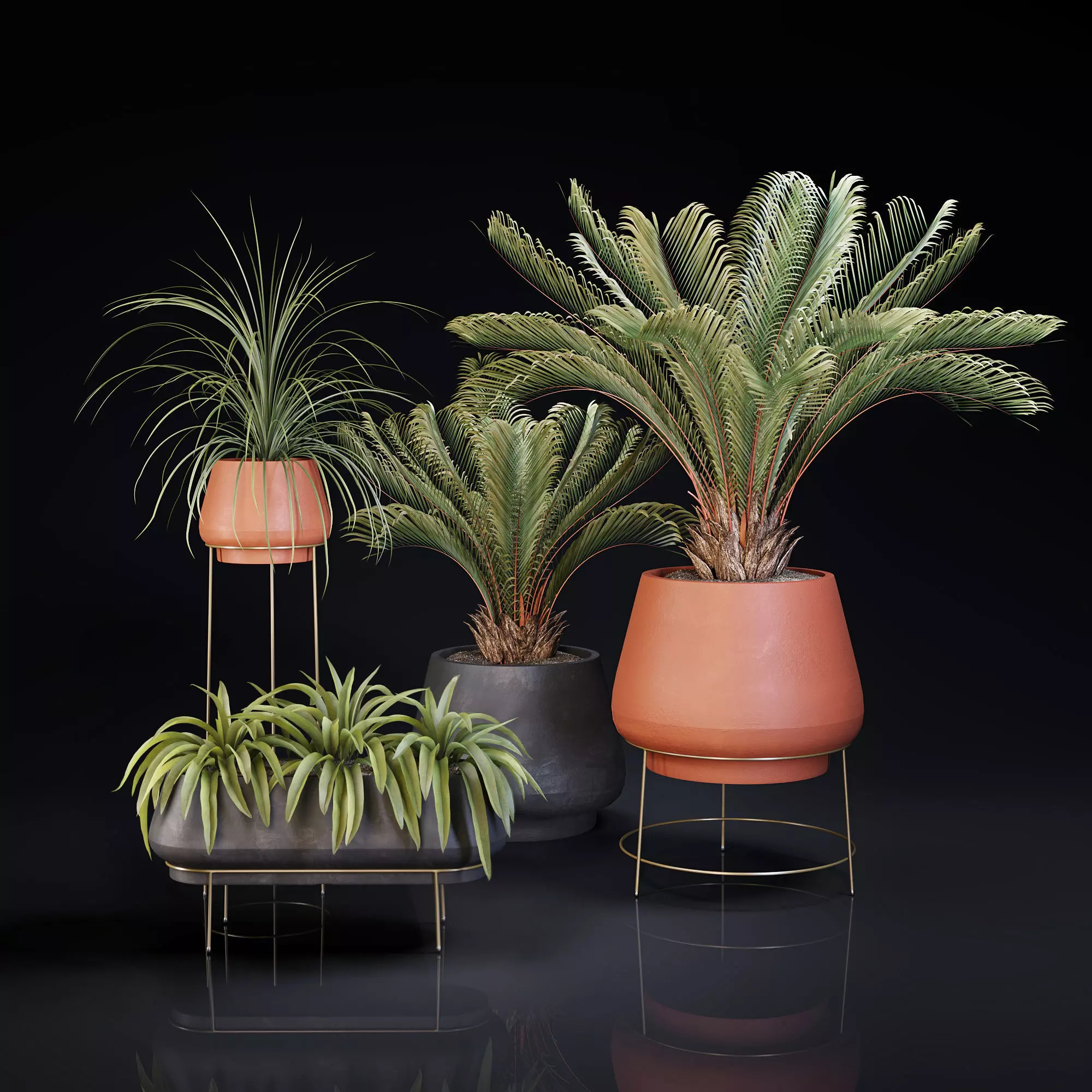 Plants Collection 01 3D model_0