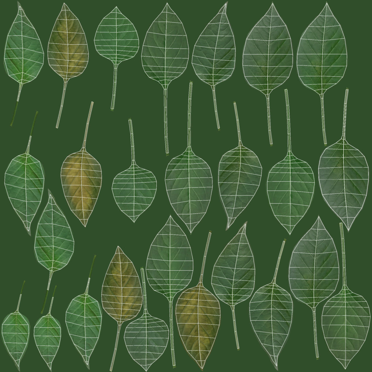 3D vegetables collection vol02 chilli Low-poly 3D model_12