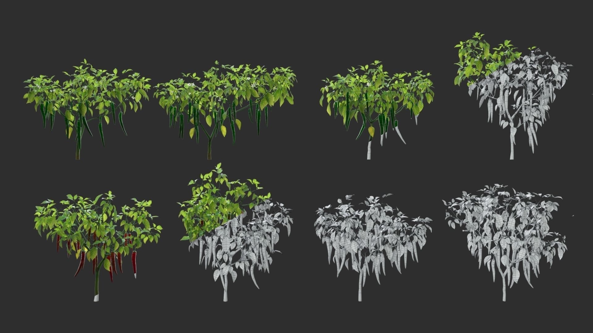 3D vegetables collection vol02 chilli Low-poly 3D model_6